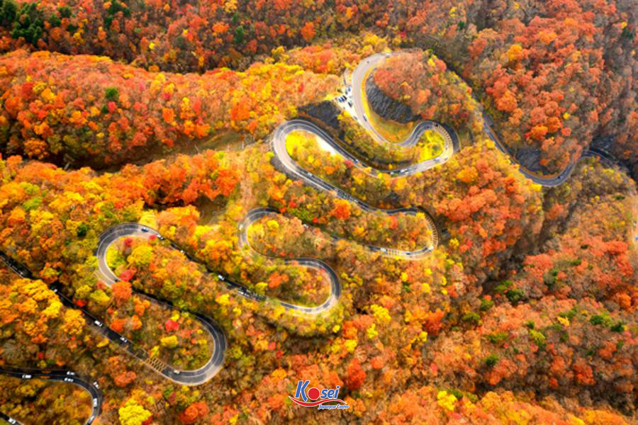 9 từ khóa về 秋 - mùa thu Nhật Bản